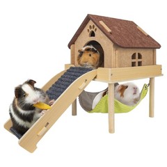 3 in 1 Enlarged Guinea Pig Hammock,Wooden Guinea Pig Hideout with House & Pla…