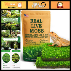 Live Moss for Reptiles – Terrarium Bedding Substrate for Snakes, Turtles, Frogs
