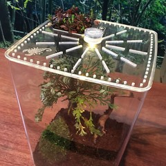 Transparent Desktop Reptile Box Acrylic Reptile Breeding Box with LED Light