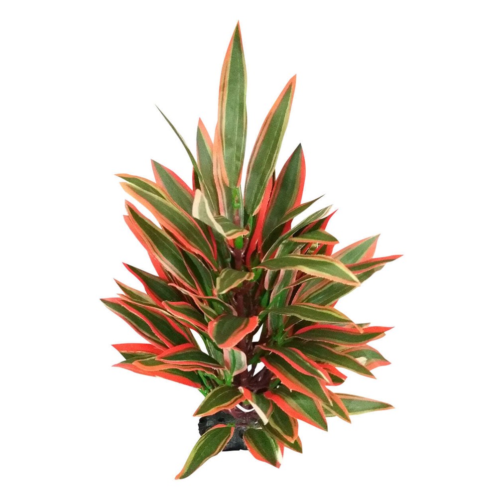 Underwater Treasures Dragon Marsh Lily