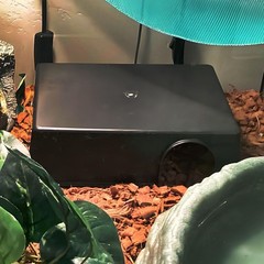 4 PCS Reptile Hide Box Leopard Gecko Snake Hideout Cave Ball Python Tank