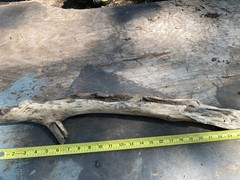 All natural Large Driftwood Log, 23” x 4 “ for Aquarium or Birdcage