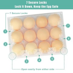 SINLUCESCE 100 Packs Egg Cartons Cheap Bulk，Plastic for 12 Eggs, Clear Eg