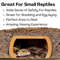 Reptile Underground Cave Viewing Hide Hognose Snake Leopard Gecko Habitat