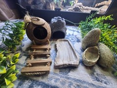 Reptile Supplies