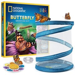 NATIONAL GEOGRAPHIC Butterfly Growing Kit Habitat Cage 5 Caterpillars to Red…