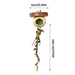 Jumping Spider Climbing Praying Mantis Climbing Toy Reptile Cage