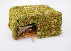 Natural Reptile Moss Hide Cave Leopard Gecko Tank Accessory