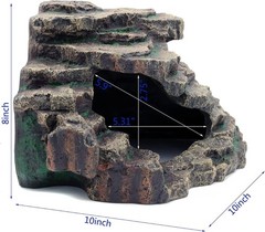 Bearded Dragon Habitat Accessories