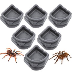 6 Pcs Spider Micro Water Bowl, Small Resin Dish for Tarantula Hermit black