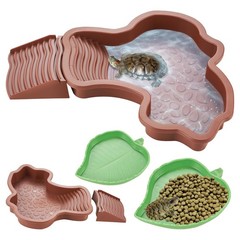 3PCS Tortoise Bathing Pool with Ramp, Reddish