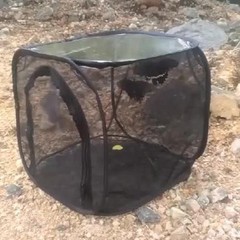 Foldable Insect Butterfly Habitat Mesh Cage Housing Enclosure Cage for Garden