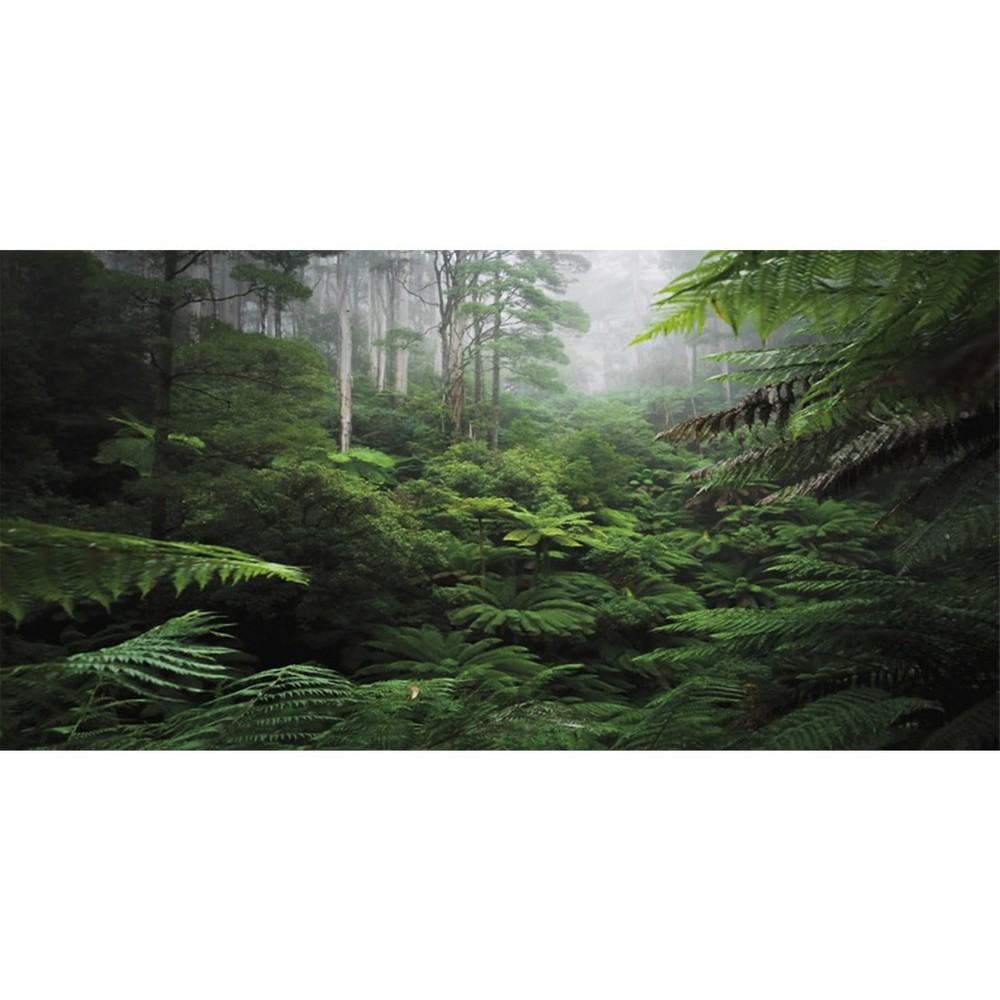 AWERT Foggy Forest Terrarium Background Green Tree Reptile Habitat Background…