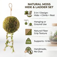 Reptile Hide Climbing Ladder Crested Gecko Tank Accessories Decor (71 chars)