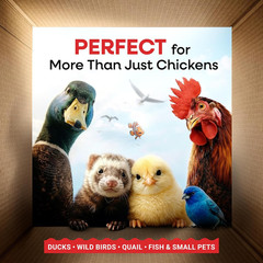 Dried Mealworms 100% Non-Gmo 10 Lb – Mealworms for Birds, Chickens, Ducks – Perf