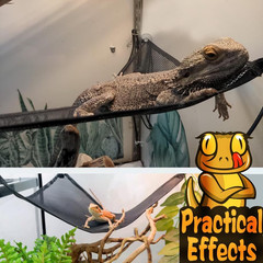 Bearded Dragon Hammock Reptile Hammock for Axolotl,Geckos,Lizards,Breathable Mes