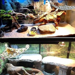 Yulaexie 2 PCS Lizard Hammock Reptile Bed Bearded Dragon Tank Beige