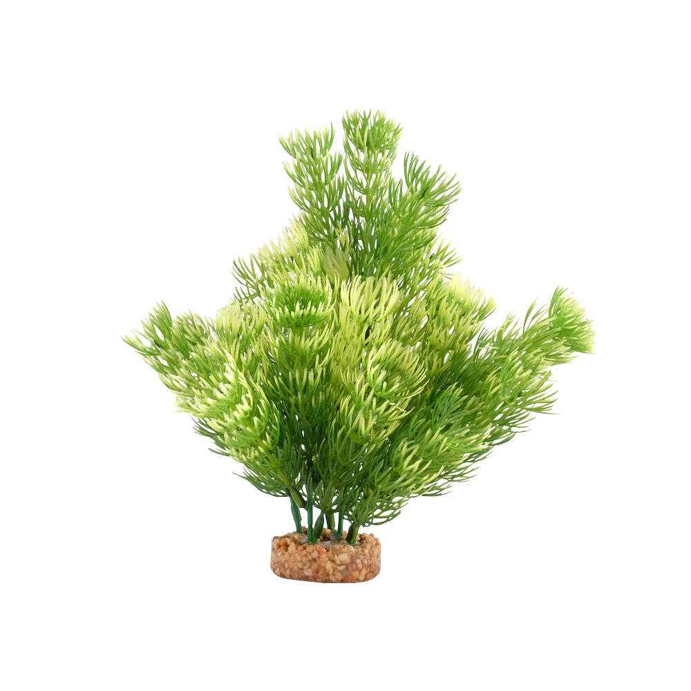 Fluval Aqualife Green Cabomba Plant 8 inch