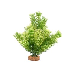 Fluval Aqualife Green Cabomba Plant 8 inch