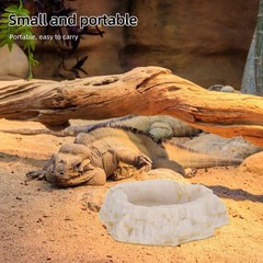 Anti Escape Feeding Bowl Chameleon Dish Bearded Dragon Accessories