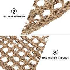 Mipcase 2Pcs Reptile Seagrass Hammock Lizard Hammock Hanging Ladder Lounger C…