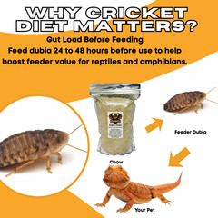 TC INSECTS Dubia Chow Premium Food for Dubia Roaches