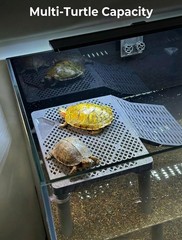 11 Inch SolidForm Turtle Basking Platform With Ramp Tray 2575 Gal Tank