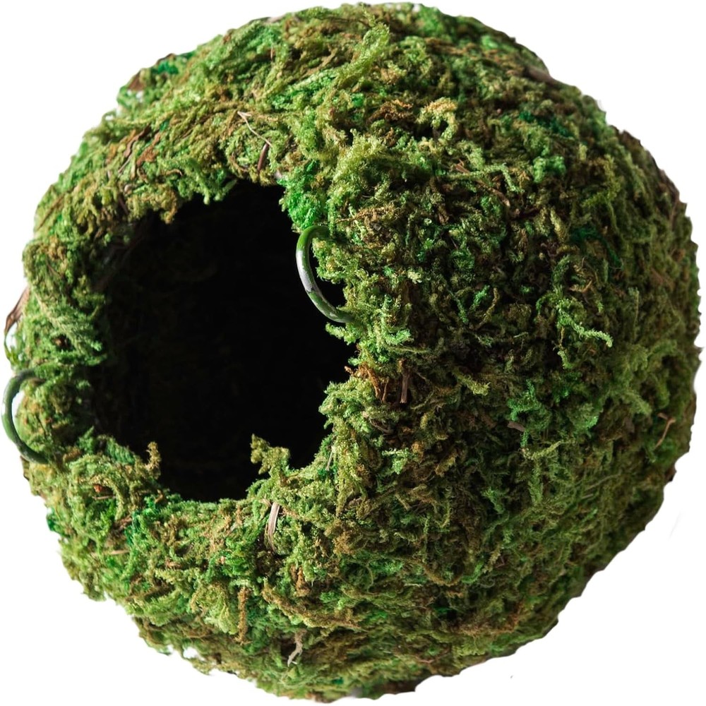 Galápagos 05346 Mossy Cave Hide 4″ Green