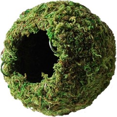 Galápagos 05346 Mossy Cave Hide 4″ Green