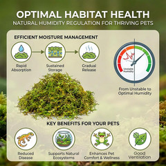 Sphagnum Moss for Reptiles – Terrarium Reptiles Moss Green Dried Peat Moss Habit