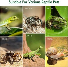 Clear Acrylic Jumping Spider Enclosure – 3.5×3.5×7 Vertical Terrarium