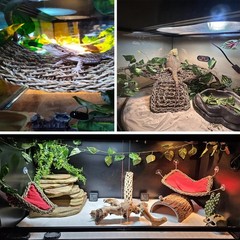 Reptile Hammock,Large Lizard Lounger, Bearded Dragon Tank Accessories Decoration