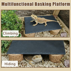 Bearded Dragon Basking Platform,9.8×5.9×1.6inch Reptile Heat Storage Slate Stone
