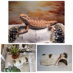 NEW Artificial Birch Log Reptile Hide, Medium Sleeping Cave 6.8×4.5x3in for Geck