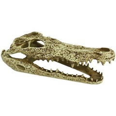 Komodo Reptile Terrarium Realistic Alligator Skull Ornament Decor | Easy to