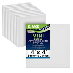 U.S. Art Supply 4×4 Mini Canvases for Painting, 12 Pack Bulk Small Stretched …