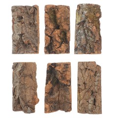 6pcs Reptile Substrate Natural Cork Bark Terrarium Background – Turtle Tank