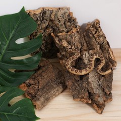 4Pcs Reusable Natural Tree Bark Reptile Climbing Platforms Durable Pet Decor