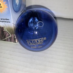 Flukers Daytime Blue Heating Light Professional Series