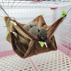 Small Animal Hammock, Hamster Hanging Bunkbed Hammock & Tunnel Warm Bed House…