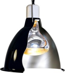 Zoo Med Repti Basking Spot Lamp 250W for Large Reptiles