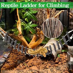 Reptile Climbing Bridge 39 in Long Bearded Dragon Wooden Ladder Terrarium