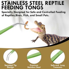 HADIZ Garden Tweezers set of 3,15cm Size Stainless Steel Green Yellow Orange
