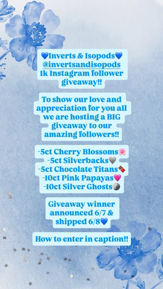 Isopod Giveaway!! Win FREE isopods, including cherry blossoms, silverbacks++💙🏆