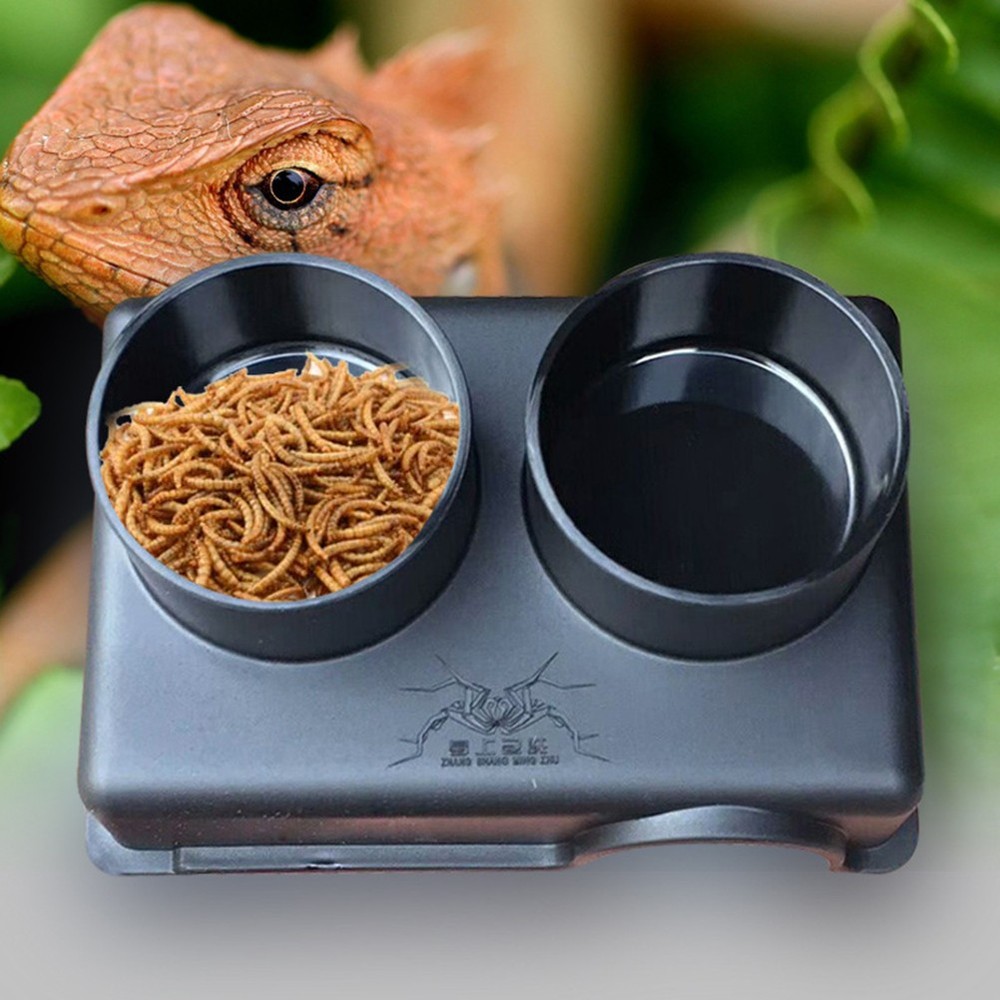 Reptile Shelter Leopard Gecko Hide Reptile Hides Caves Geckos