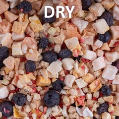 Fruit Mix Instant Meal Reptile Food – Bearded Dragon Accessories & Bearded Dr…