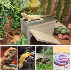 Bearded Dragon Hide Cave W/ Basking Platform,Wooden Lizard Hideout