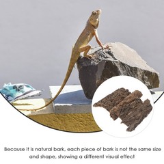 4Pcs Reusable Natural Tree Bark Reptile Climbing Platforms Durable Pet Decor