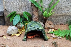 Reptile Cave Climb Hideout Hideaway – Stone Cave Shelter Hiding Decorative Resin