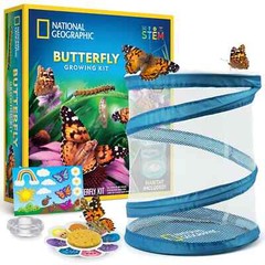 NATIONAL GEOGRAPHIC Butterfly Growing Kit – Butterfly Habitat Kit